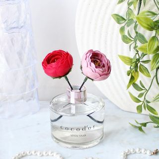 코코도르 디퓨저 120ml, 200ml, 500ml — 5점을 준 리뷰어가 2022년 2월 올린 사용 사진