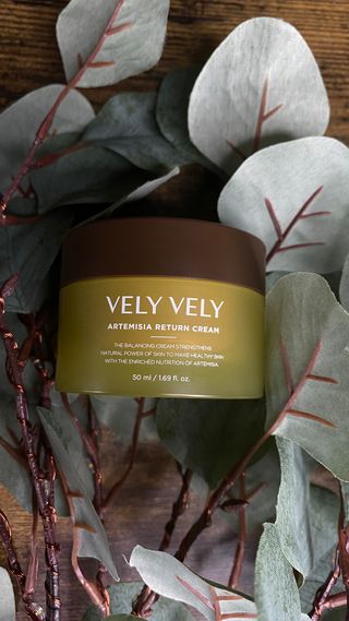 VELY VELY Artemisia Return Cream — 5점을 준 리뷰어가 2021년 4월 올린 사용 사진