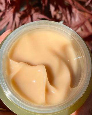 VELY VELY Artemisia Return Cream — 5점을 준 리뷰어가 2021년 4월 올린 사용 사진