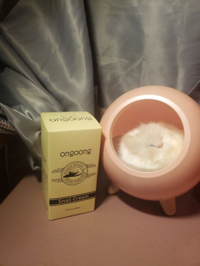 온궁 달팽이크림 리뷰 사진
