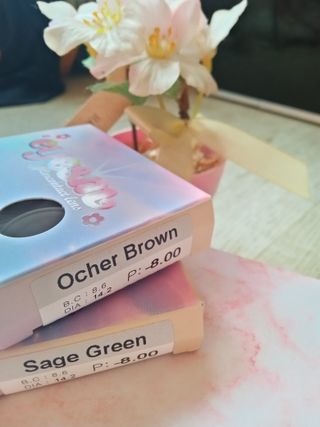 Spring님이 올린 리뷰 사진 4