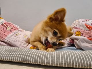 LiviaOng님이 올린 리뷰 사진 3