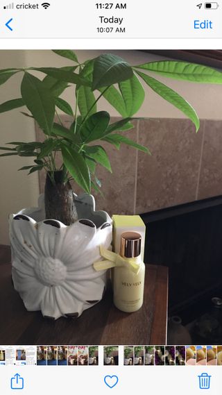 VELY VELY Yuja C-Tamin Serum — 5점을 준 리뷰어가 2021년 3월 올린 사용 사진