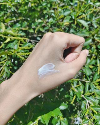 Meganchox님이 올린 리뷰 사진 3