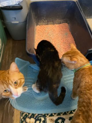 MissiSlaughter님이 올린 리뷰 사진 3