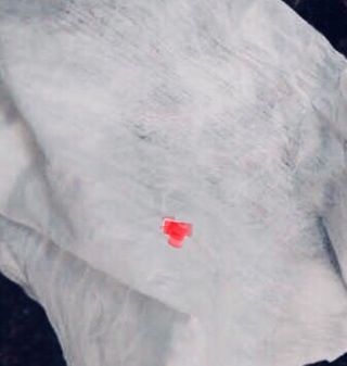lala님이 올린 리뷰 사진 2