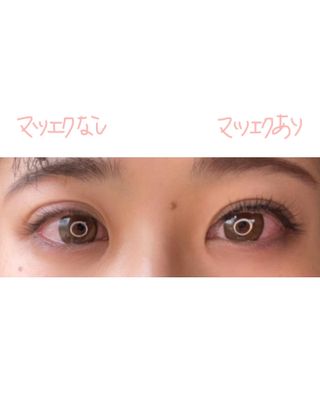 ころりん님이 올린 리뷰 사진 3