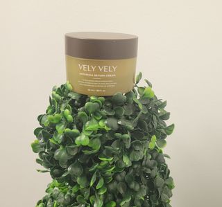 VELY VELY Artemisia Return Cream — 5점을 준 리뷰어가 2021년 4월 올린 사용 사진