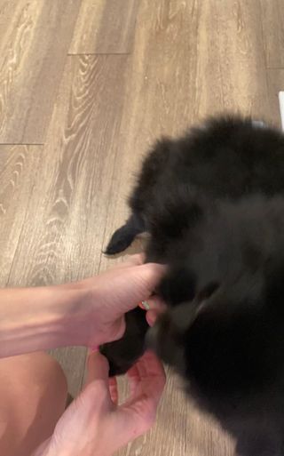Jenni blonde25 ig님이 올린 리뷰 사진 4