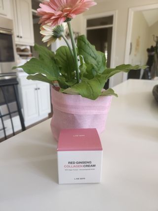 랩1899 [LAB1899] Red Ginseng Collagen Cream — 4.5점을 준 리뷰어가 2024년 4월 올린 사용 사진