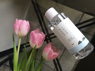 Elmiramasoud님이 올린 리뷰 사진 2