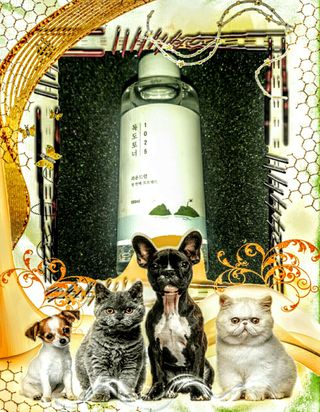 라운드 랩 1025 독도 토너 100ml — 4.5점을 준 리뷰어가 2021년 2월 올린 사용 사진