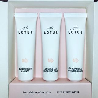 더 퓨어 로터스 제주 식물 선크림 / 제주 연잎 &amp; 동백 미스트 / 순수한 연꽃 어메니티 세트 — 5점을 준 리뷰어가 2022년 12월 올린 사용 사진