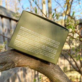 VELY VELY Artemisia Return Cream — 4점을 준 리뷰어가 2021년 4월 올린 사용 사진