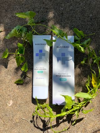 바노바기 코스메틱 바노바기 밀크씨슬 리페어 시카 폼 클렌저 플러스 120ml + 선스크린 플러스 50ml — 5점을 준 리뷰어가 2023년 8월 올린 사용 사진
