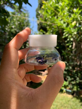 K-doraji PSI TEA Infuser Water Bottle, Easy Tea Making with Cute Tea Infuser, cold brew tea — 5점을 준 리뷰어가 2021년 7월 올린 사용 사진
