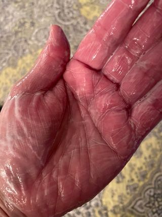 Sharonspendstoomuch님이 올린 리뷰 사진 4