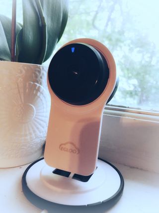 온습도 모니터와 스마트 리모컨이 탑재된 EGLOO cam S4 1080P Wi-Fi 스마트 카메라 — 4.5점을 준 리뷰어가 2021년 6월 올린 사용 사진