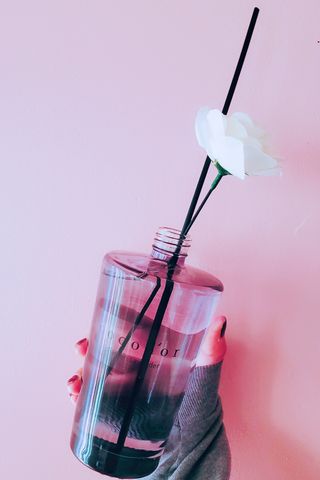코코도르 디퓨저 120ml, 200ml, 500ml — 5점을 준 리뷰어가 2022년 2월 올린 사용 사진