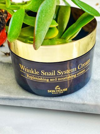[THE SKIN HOUSE] Wrinkle Snail System Cream 100ml — 5점을 준 리뷰어가 2022년 1월 올린 사용 사진