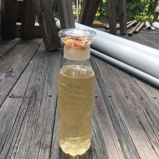 K-doraji PSI TEA Infuser Water Bottle, Easy Tea Making with Cute Tea Infuser, cold brew tea — 3점을 준 리뷰어가 2021년 7월 올린 사용 사진