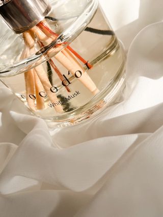 코코도르 디퓨저 120ml, 200ml, 500ml — 5점을 준 리뷰어가 2022년 1월 올린 사용 사진