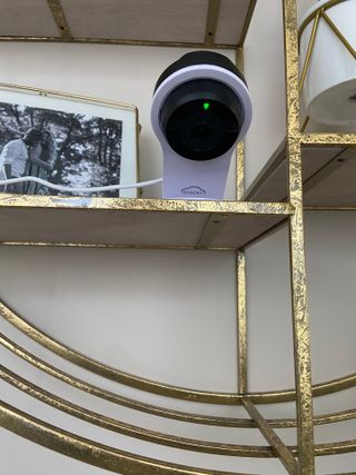 온습도 모니터와 스마트 리모컨이 탑재된 EGLOO cam S4 1080P Wi-Fi 스마트 카메라 — 5점을 준 리뷰어가 2021년 5월 올린 사용 사진