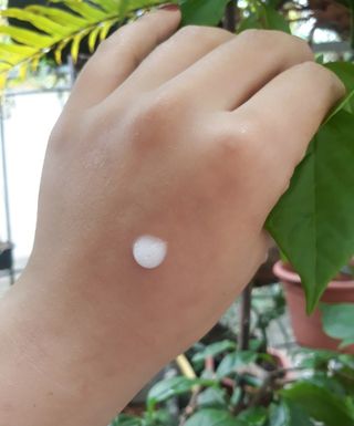 Lê Hồng Minh님이 올린 리뷰 사진 4