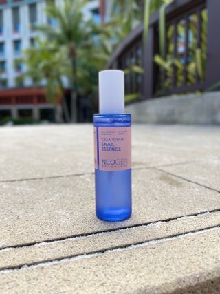 네오젠 더마로지 시카 리페어 스네일 에센스 100ml+ 크림 50g 세트 — 4점을 준 리뷰어가 2022년 8월 올린 사용 사진