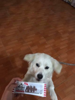 Nguyễn Thị Thu Hương님이 올린 리뷰 사진 2