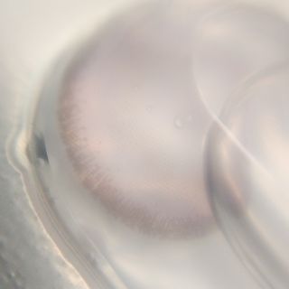 クリス님이 올린 리뷰 사진 3
