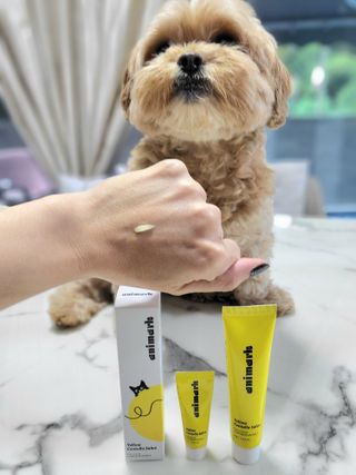 Puckerandpout님이 올린 리뷰 사진 4