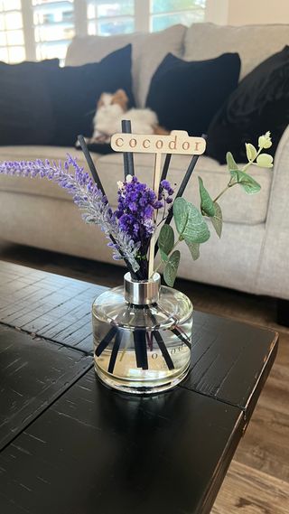 AneliBerdeja님이 올린 리뷰 사진 2