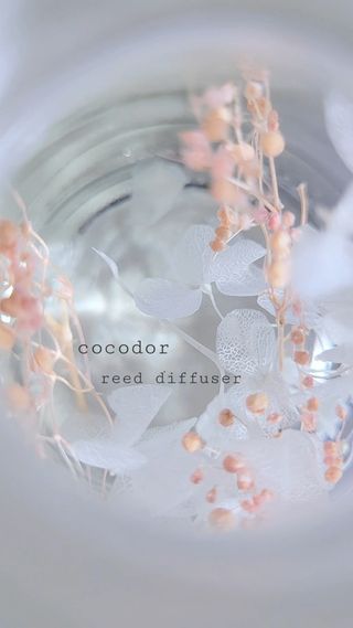 JillF님이 올린 리뷰 사진 3