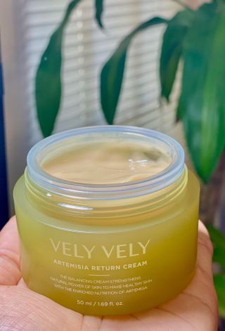 VELY VELY Artemisia Return Cream — 5점을 준 리뷰어가 2021년 4월 올린 사용 사진