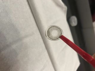 金貞和님이 올린 리뷰 사진 3