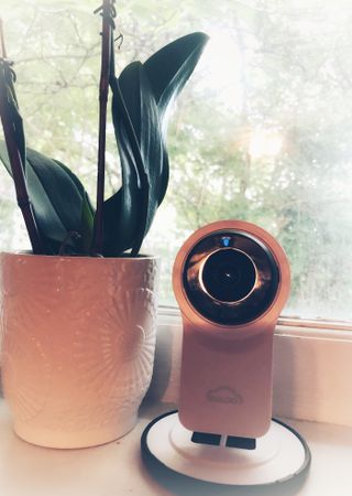 온습도 모니터와 스마트 리모컨이 탑재된 EGLOO cam S4 1080P Wi-Fi 스마트 카메라 — 4.5점을 준 리뷰어가 2021년 6월 올린 사용 사진
