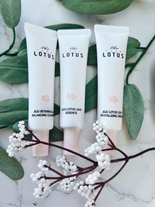 더 퓨어 로터스 제주 식물 선크림 / 제주 연잎 &amp; 동백 미스트 / 순수한 연꽃 어메니티 세트 — 5점을 준 리뷰어가 2022년 7월 올린 사용 사진