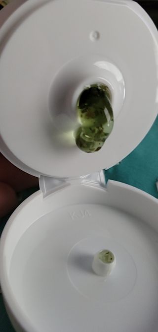CassandraRobinson님이 올린 리뷰 사진 2