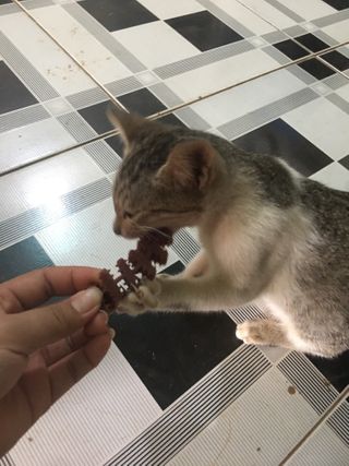 Hồng Nguyễn님이 올린 리뷰 사진 2