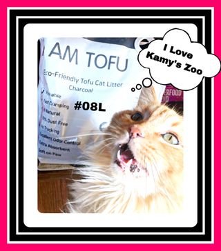 카미스쥬 KAMY 's ZOO I AM TOFU 프리미엄 천연 두부 고양이 쓰레기 숯 10LB — 5점을 준 리뷰어가 2021년 3월 올린 사용 사진
