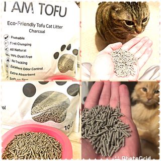 카미스쥬 KAMY 's ZOO I AM TOFU 프리미엄 천연 두부 고양이 쓰레기 숯 10LB — 5점을 준 리뷰어가 2021년 3월 올린 사용 사진