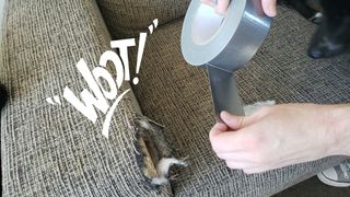 AwfullyHonestReviews님이 올린 리뷰 사진 1