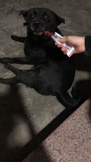 GiangGiang님이 올린 리뷰 사진 1