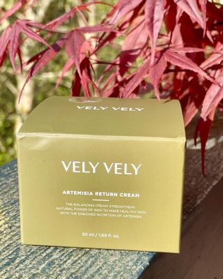 VELY VELY Artemisia Return Cream — 5점을 준 리뷰어가 2021년 4월 올린 사용 사진