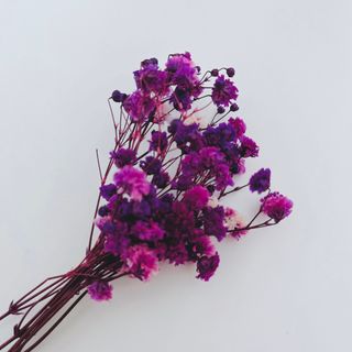 jlookbook님이 올린 리뷰 사진 4