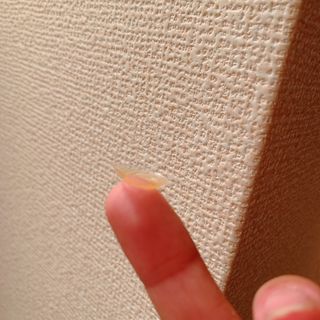 ちゃんりー님이 올린 리뷰 사진 4