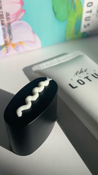 더 퓨어 로터스 제주 식물 선크림 / 제주 연잎 &amp; 동백 미스트 / 순수한 연꽃 어메니티 세트 — 5점을 준 리뷰어가 2022년 12월 올린 사용 사진
