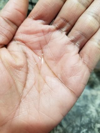 chellet83님이 올린 리뷰 사진 2