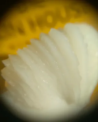 [THE SKIN HOUSE] Lemon Sorbet Cleanser, Aloe Soothing Vitamin Gel — 5점을 준 리뷰어가 2021년 12월 올린 사용 사진